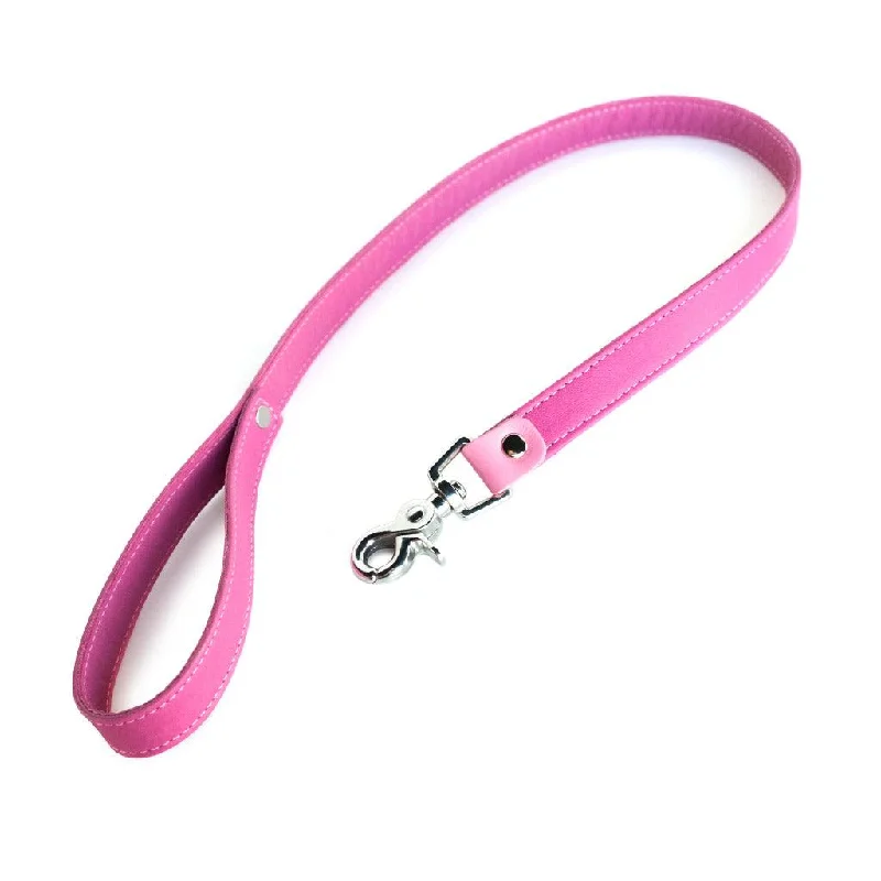 Breast Cancer Awareness Premium Garment Leather Leash